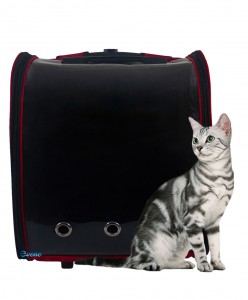 Kırmızı Kedi Taşıma Çantası Valizi Çekçekli Tekerlekli Şeffaf Büyük Boy Uçak için Uygun Hava Alan Sı